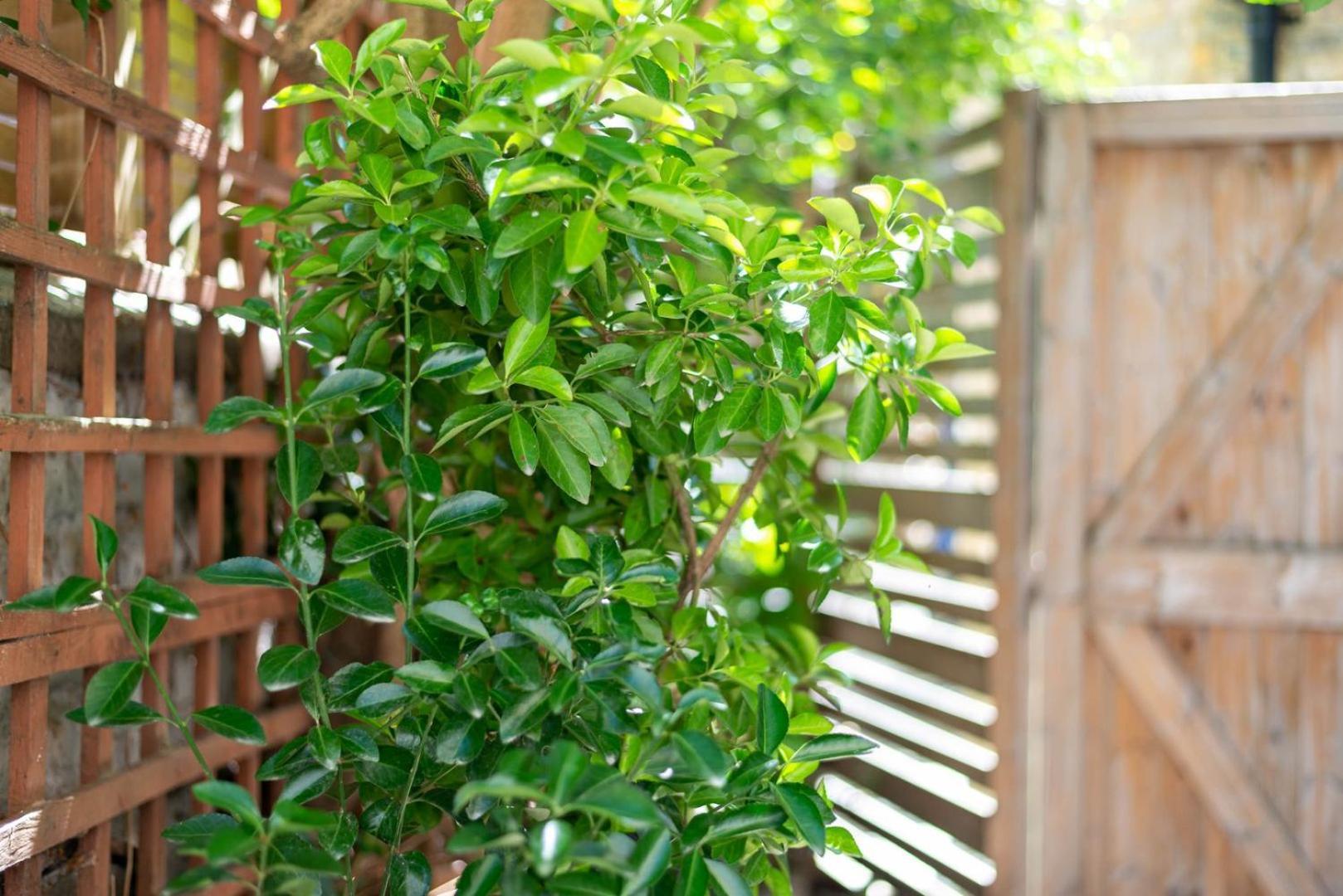 Guestready - Micro Garden Flat In Fulham Appartamento